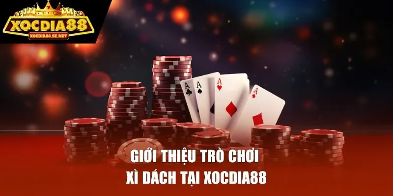 Giới thiệu trò chơi xì dách tại Xocdia88