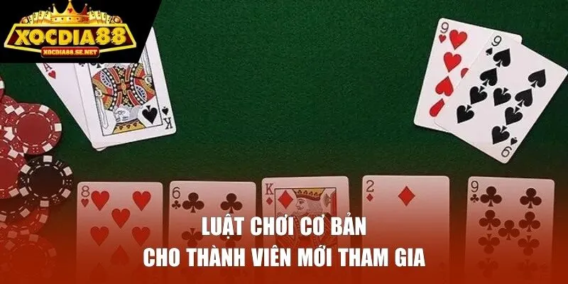 Luật chơi cơ bản cho thành viên mới tham gia